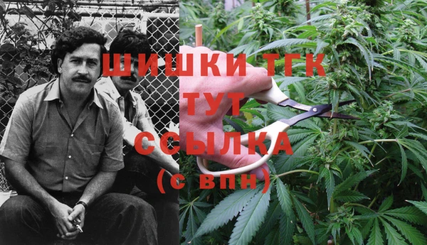 мяу мяу кристалл Алексин