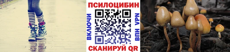 Псилоцибиновые грибы мухоморы  Нерехта 