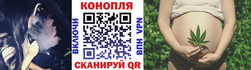 где продают   Нерехта  Конопля ГИДРОПОН 